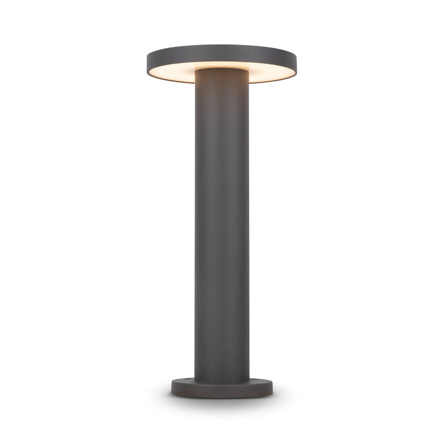 Outdoor Landscape ground lighting Wald 12W 3000K