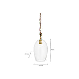 Otoro Small Oval Recycled Glass Pendant Light in Clear, with an egg-shaped glass shade, brass collar and chain, shown on a plain white background with dimension markers (30cm height, 20.5cm width).