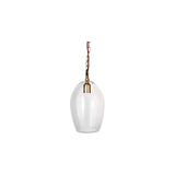 Otoro Small Oval Recycled Glass Pendant Light in Clear, with a tall egg-shaped shade, brass collar and visible lampholder, hung from a brass chain against a plain white background.