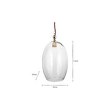 Otoro Large Oval Recycled Glass Pendant Light - Clear
