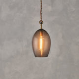 Otoro Large Oval Recycled Glass Pendant Light in smoke, an egg-shaped shade with brass collar and exposed bulb on a brass chain with rust fabric flex, against a plain grey background.
