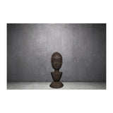 Faces of Heritage Large Wall Art - 2 Panels & 2 Busts - image 5