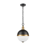 Hemisphere 2 light pendant light in black and gold finish