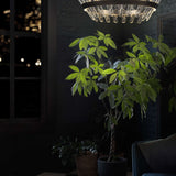 Beatrice chandelier, shown in a room setting