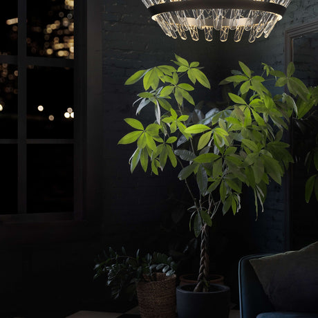 Beatrice chandelier, shown in a room setting
