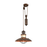 Newton pendant light