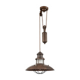 Newton pendant light, unlit