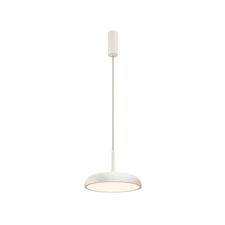 Pendant lamp Gerhard 19W 3000K