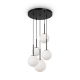 The Basic Form 5 Light Cluster Pendant features five frosted glass globes suspended at various heights from black metal stems, attached to a round black ceiling mount against a white backdrop.