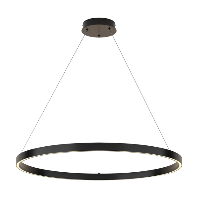 Rim LED circular suspension light in black, offering a bold lighting statement for larger rooms.