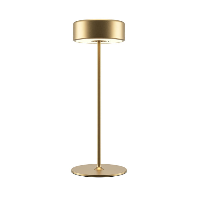 Table lamp AI Collaboration 3W adjustable color temperature 2200-4000K