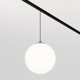 The Luna LED CCT Dimmable Smart Magnetic Exility Track Pendant Light is a black, spherical pendant featuring a thin rod suspension against a white backdrop. It offers adjustable color temperatures between 3000-6000K, emitting a soft, even glow.