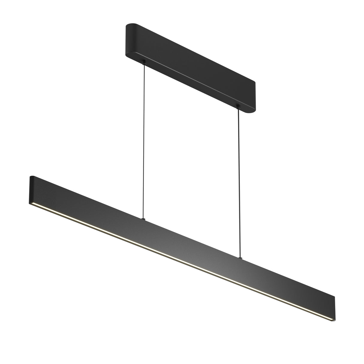 Euphoria Ring Pendant Light - Black