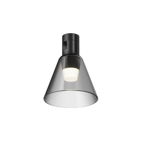 Maytoni Bianca LED track light with a black aluminium conical shade, clear glass diffuser, and integrated 3W 3000K warm white LED, on a white background.