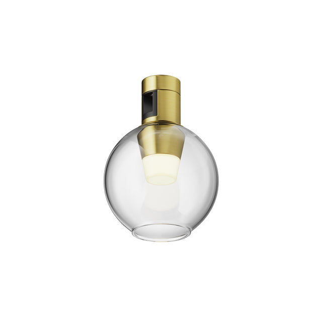 Maytoni Bubble LED track light in brass with a clear spherical glass shade and frosted diffuser, shown on a plain white background.