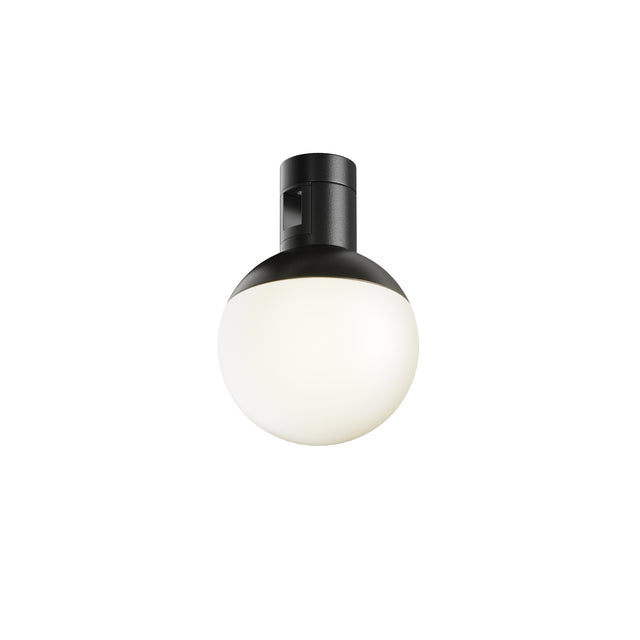 Maytoni Luna LED track light with spherical opal glass diffuser on a black aluminium cylindrical housing, 5W 3000K, shown on a white background.