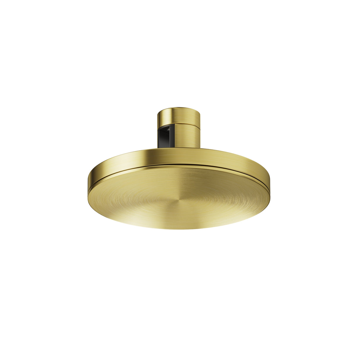 Maytoni Plato 7W LED track light with a circular brushed brass aluminium head and cylindrical track mount, shown on a plain white background.