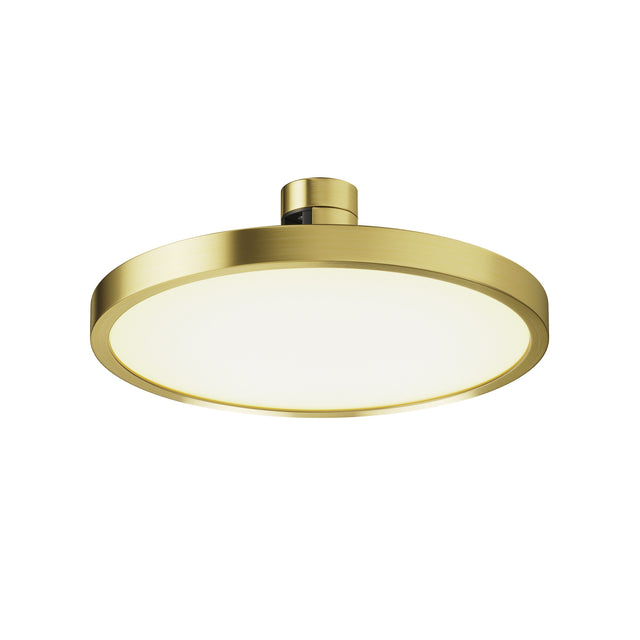 Maytoni Plato LED track light with a circular brass-finished aluminium housing, flush diffuser and twist-lock adaptor, shown on a white background.