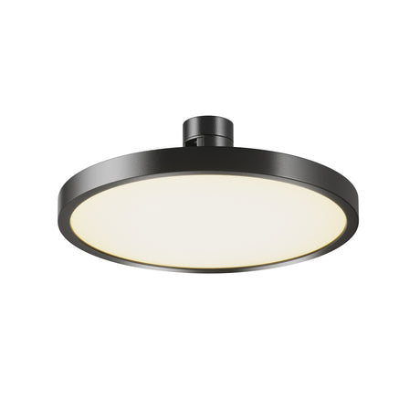 Maytoni Plato 10W LED track light with a shallow black aluminium disc, frosted diffuser and central cylindrical 3-circuit mount, on a white background.