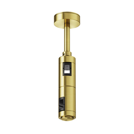 Maytoni Flarity 184mm ceiling-mounted track connector in brass finish, cylindrical form with black port openings, shown on a plain white background.