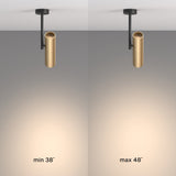 The Elti Single Spotlight in black and gold showcases modern industrial lighting with adjustable spreads, featuring a narrow 38° beam on the left and a wider 48° beam on the right, elegantly suspended from a sleek black rod.