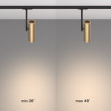 The Elti Single Phase Unity Track Spotlight in Black & Gold showcases customizable lighting on a grey wall: the left offers a beam angle of 38 degrees for accent lighting, while the right expands to 48 degrees for broader illumination.