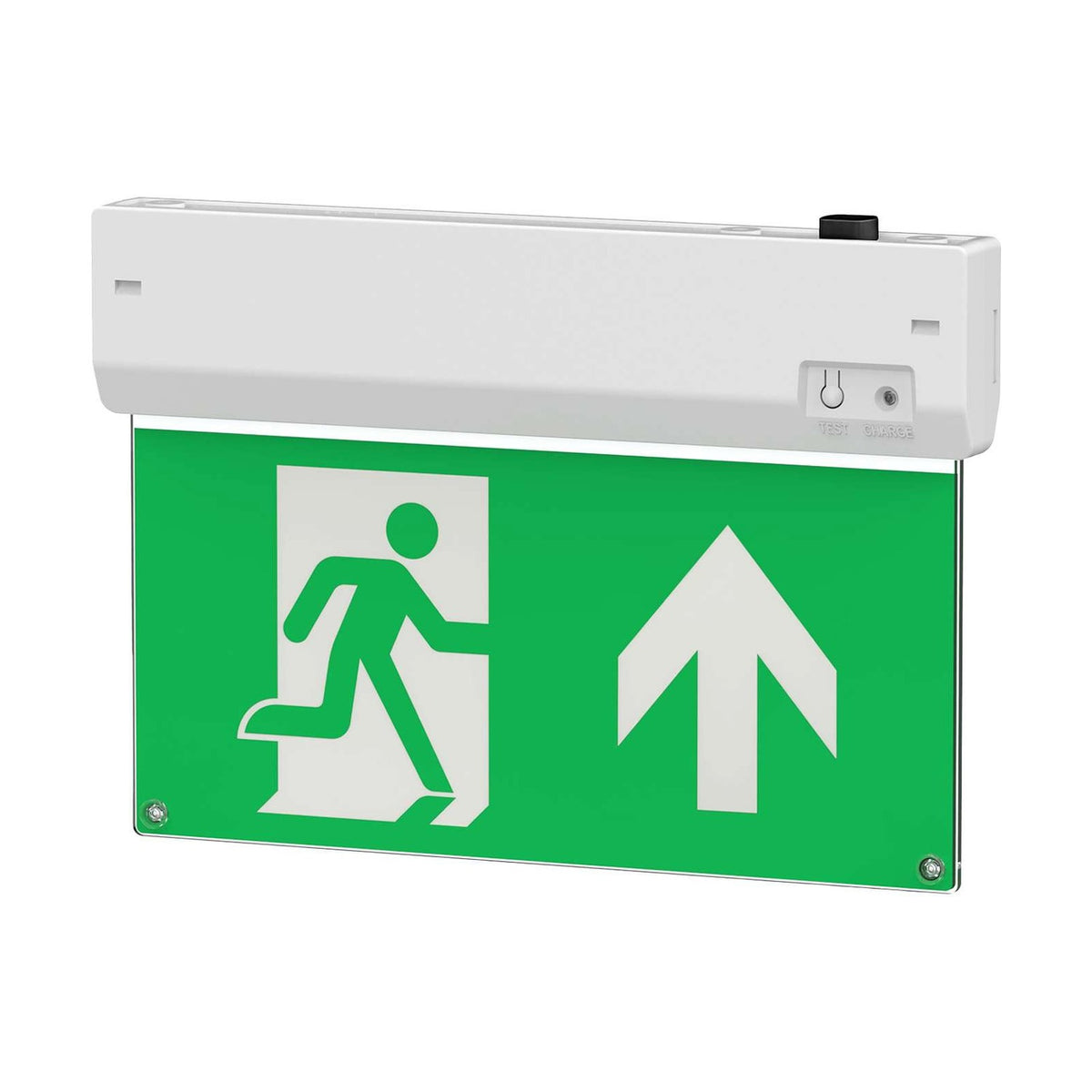 2.5W IP20 Daylight 6500K Maintained Emergency Exit Blade Kit