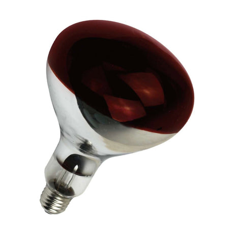 E27 (ES) Infra Red Heater Bulb 250W 300lm - Warm White 1250K