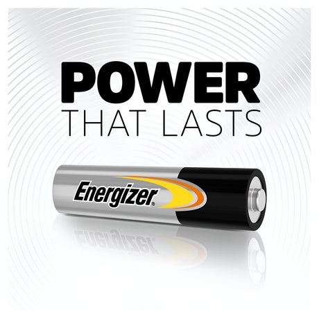 The Energizer Power AA LR6 Alkaline Batteries (4+1 Pack) are showcased against a white background with circular patterns. Above the batteries, the bold black slogan "POWER THAT LASTS" emphasizes their suitability for high-drain devices requiring long-lasting performance.