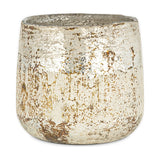 Juniper & Fir 1 Wick Scented Candle - Antique Gold