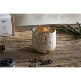 Juniper & Fir 3 Wick Scented Candle - Antique Gold
