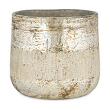 Juniper & Fir 3 Wick Scented Candle - Antique Gold