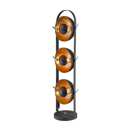 Earl 3 light floor lamp in black and gold finish