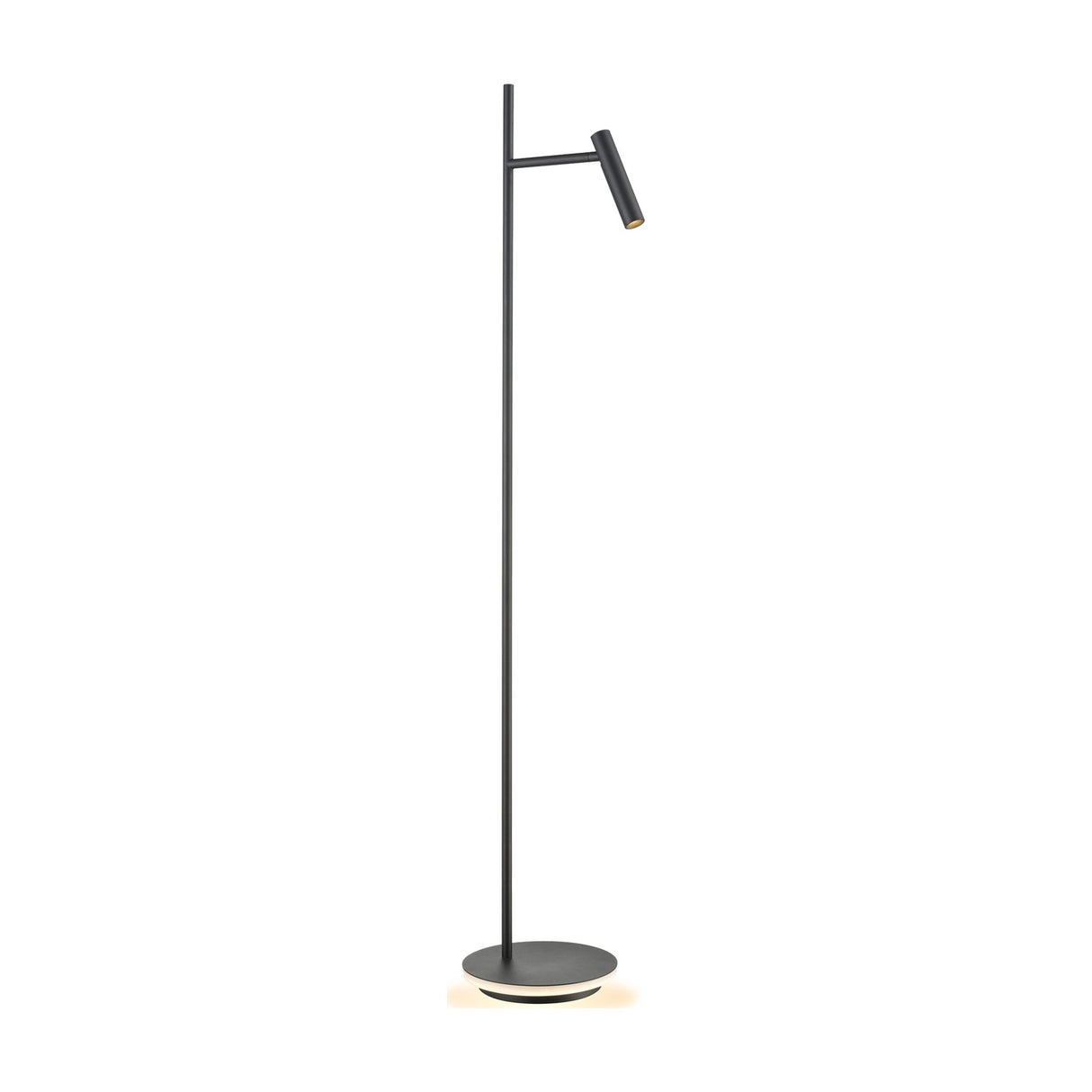 Lewis 2 light floor lamp in black finish