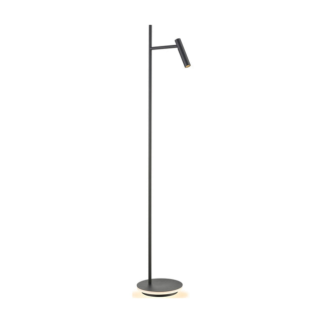 Lewis 2 light floor lamp in black finish