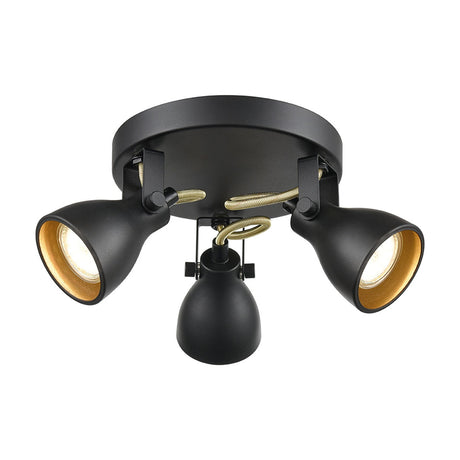 Taza 3 light ceiling light in black and gold finish
