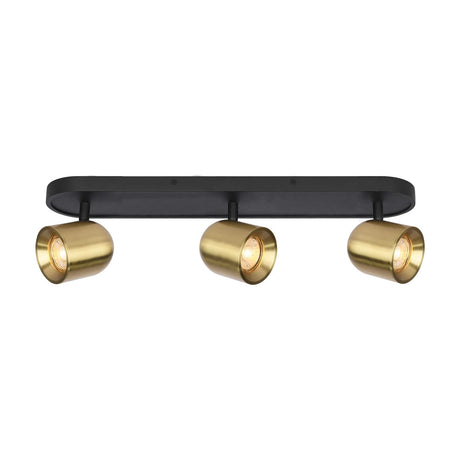 Encore 3 light ceiling light in black and brass finish