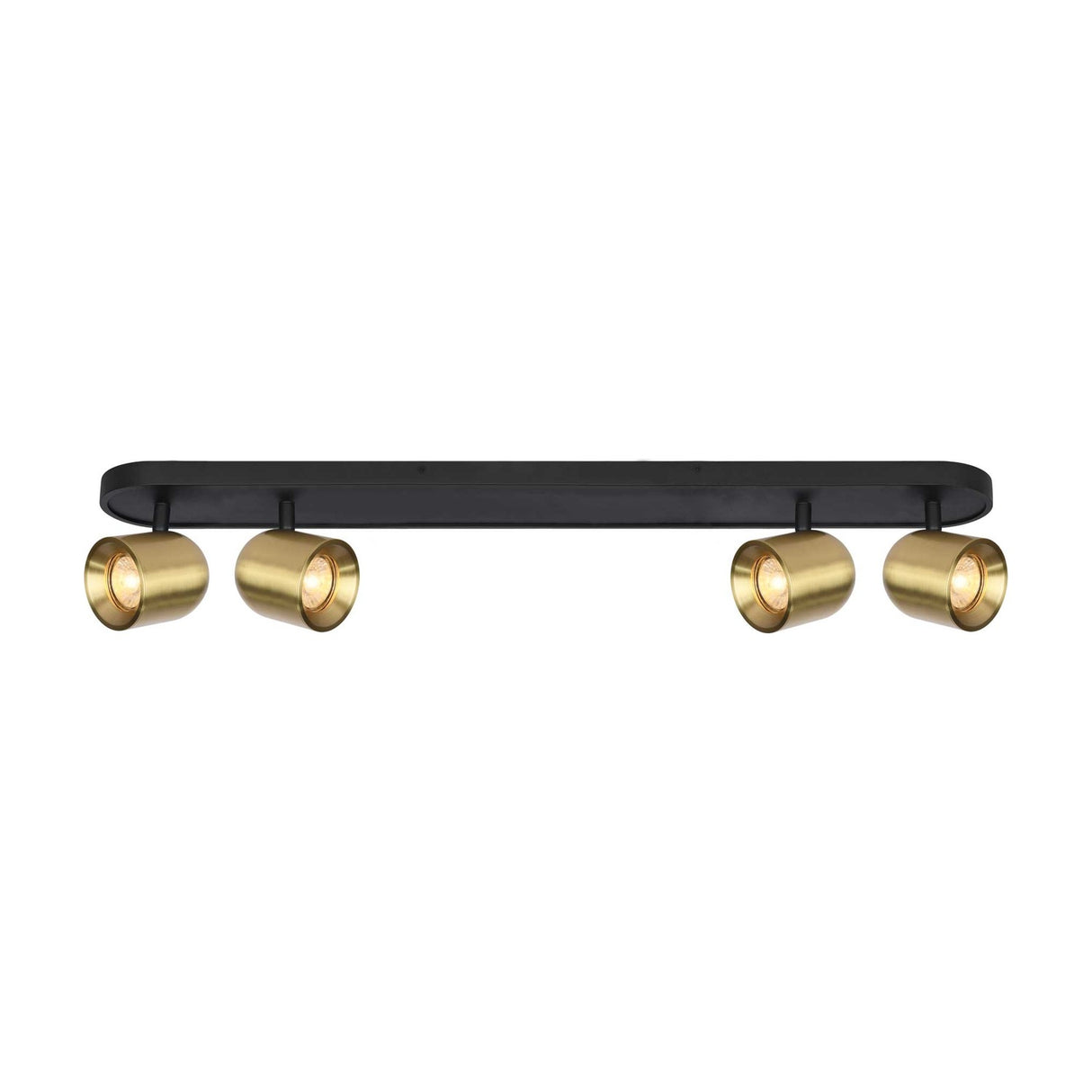 Encore 4 light ceiling light in black and brass finish