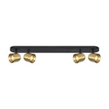 Encore 4 light ceiling light in black and brass finish