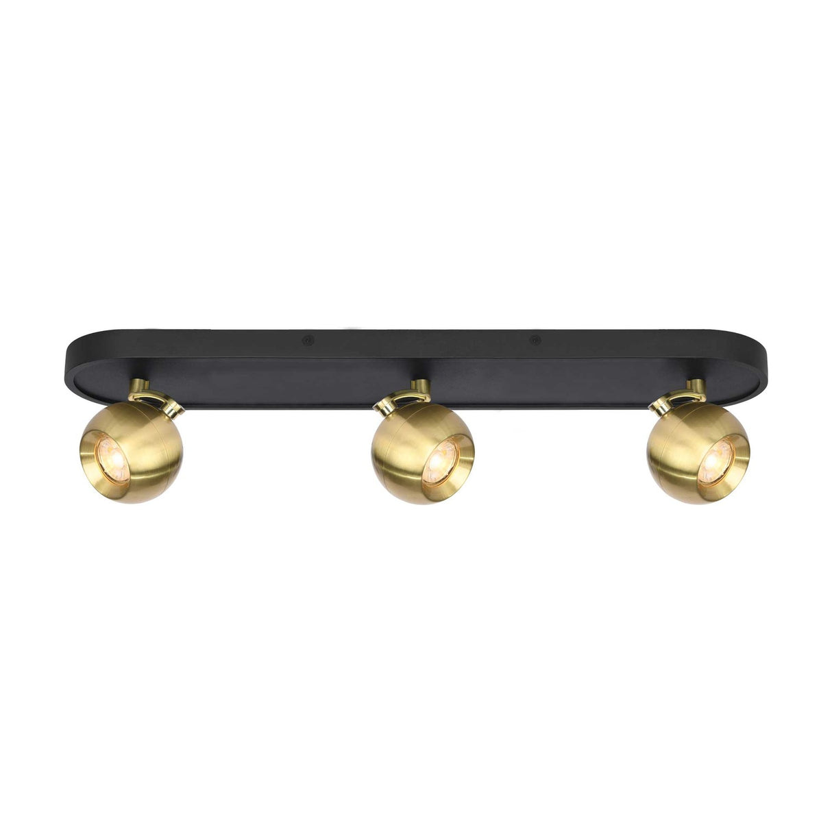 Lens 3 light ceiling light in black and brass finish
