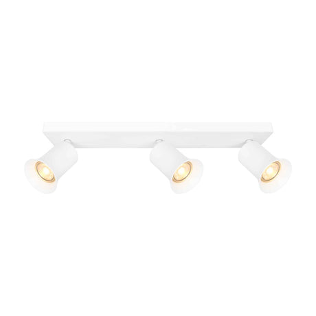 Broadway 3 light ceiling light in white finish