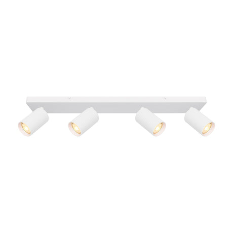 Broadway 4 light ceiling light