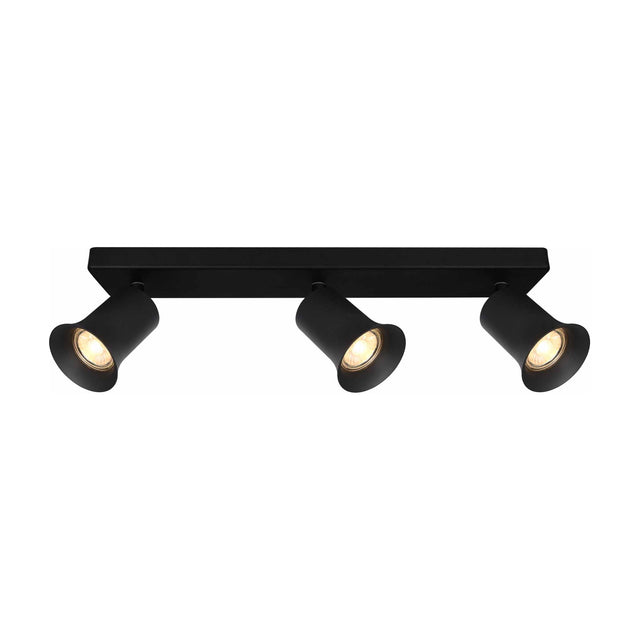 Broadway 3 light ceiling light in black finish