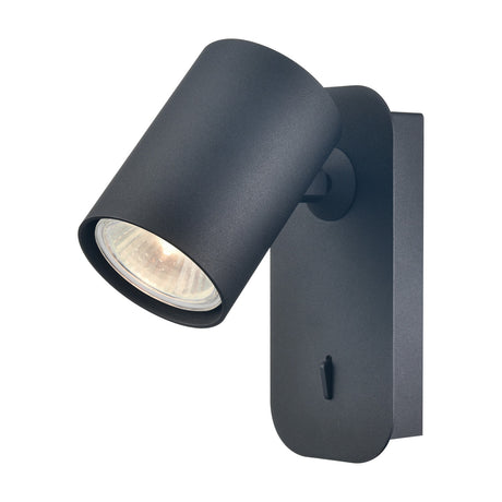 Duet wall light