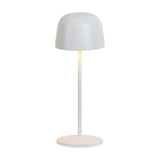 Trailblazer table lamp