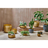 Tembesi Large Etched Planter - Antique Black & Brass