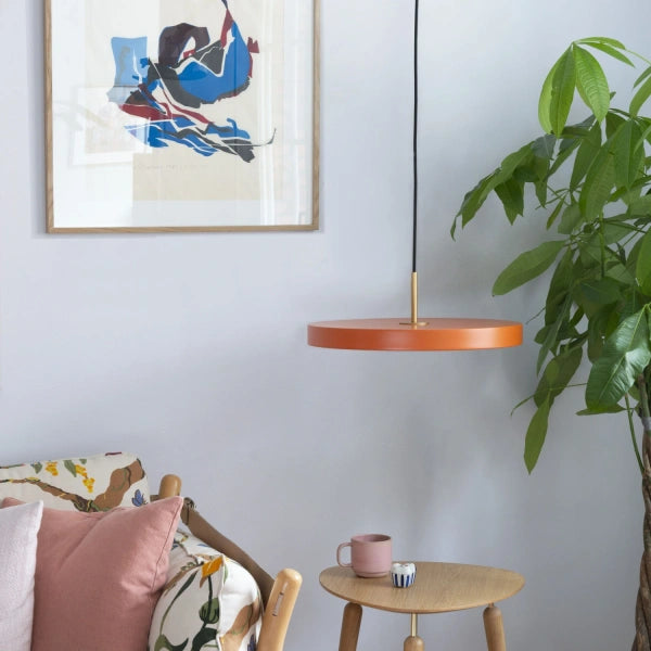 2423 in-situ 2