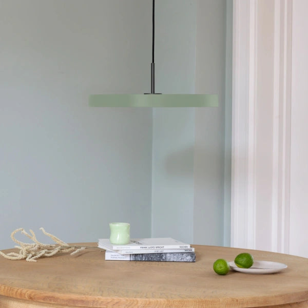 2421C4173 in-situ 3