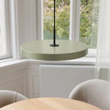 2421C4173 in-situ 4