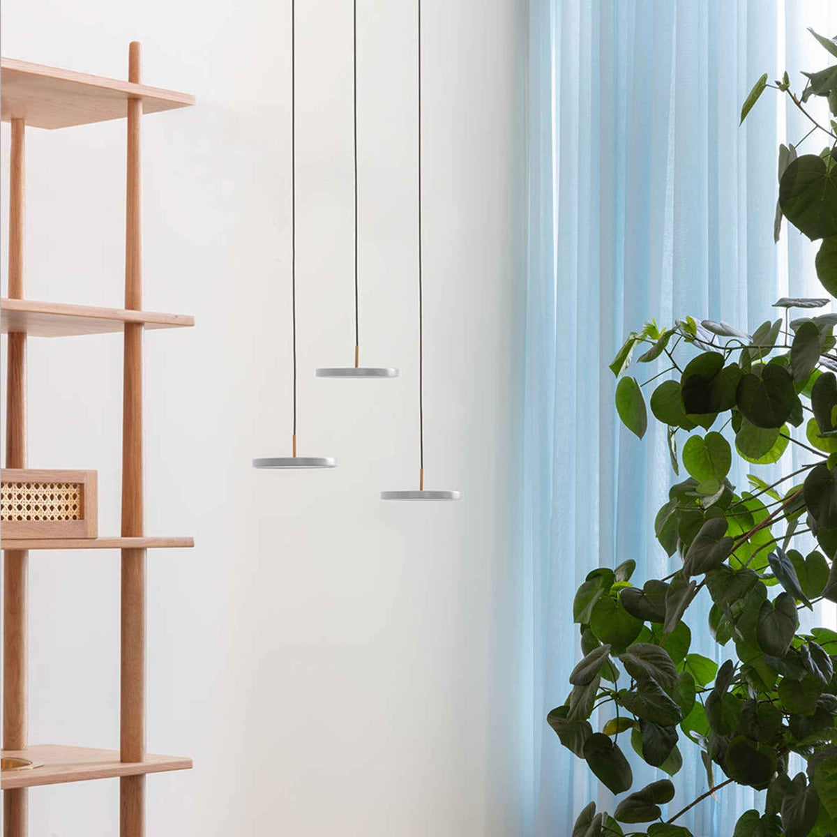 2409 in-situ 4